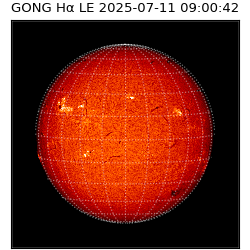 gong - 2025-07-11T09:00:42