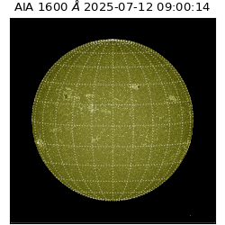 saia - 2025-07-12T09:00:14.126000