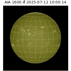 saia - 2025-07-12T10:00:14.118000