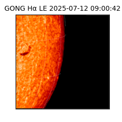 gong - 2025-07-12T09:00:42