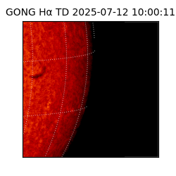 gong - 2025-07-12T10:00:11