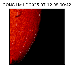 gong - 2025-07-12T08:00:42