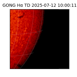 gong - 2025-07-12T10:00:11