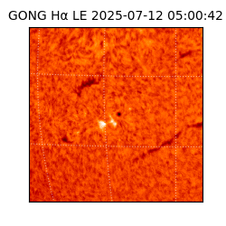 gong - 2025-07-12T05:00:42