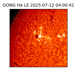 gong - 2025-07-12T04:00:42