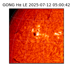 gong - 2025-07-12T05:00:42