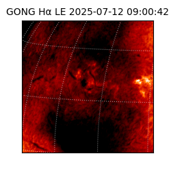 gong - 2025-07-12T09:00:42