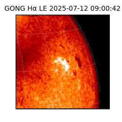 gong - 2025-07-12T09:00:42
