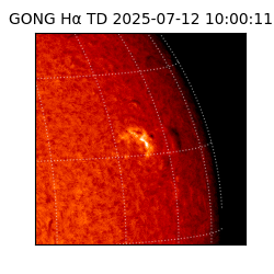 gong - 2025-07-12T10:00:11