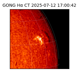 gong - 2025-07-12T17:00:42