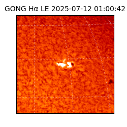 gong - 2025-07-12T01:00:42