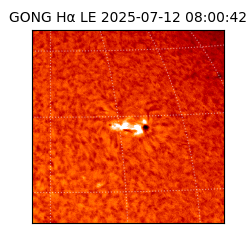 gong - 2025-07-12T08:00:42