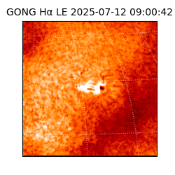 gong - 2025-07-12T09:00:42