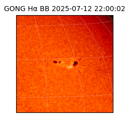 gong - 2025-07-12T22:00:02
