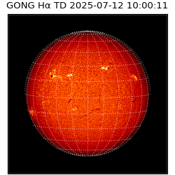 gong - 2025-07-12T10:00:11