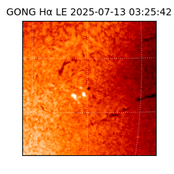 gong - 2025-07-13T03:25:42