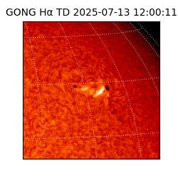 gong - 2025-07-13T12:00:11