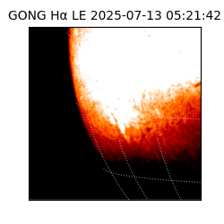 gong - 2025-07-13T05:21:42