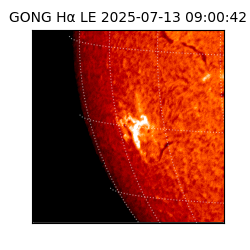 gong - 2025-07-13T09:00:42