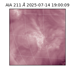 saia - 2025-07-14T19:00:09.626000