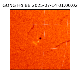 gong - 2025-07-14T01:00:02