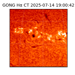 gong - 2025-07-14T19:00:42