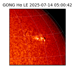 gong - 2025-07-14T05:00:42
