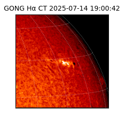 gong - 2025-07-14T19:00:42