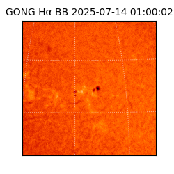 gong - 2025-07-14T01:00:02