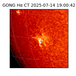 gong - 2025-07-14T19:00:42