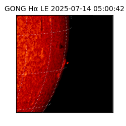gong - 2025-07-14T05:00:42