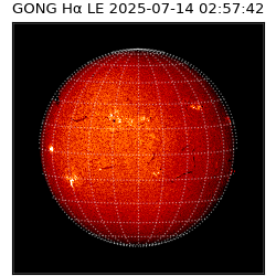 gong - 2025-07-14T02:57:42