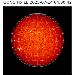 gong - 2025-07-14T04:00:42