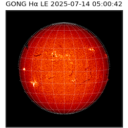 gong - 2025-07-14T05:00:42