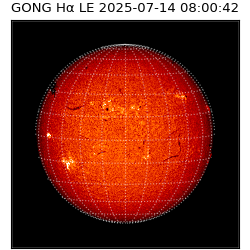gong - 2025-07-14T08:00:42