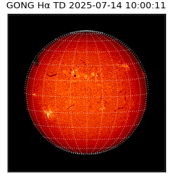 gong - 2025-07-14T10:00:11