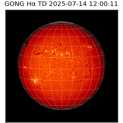 gong - 2025-07-14T12:00:11