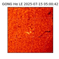 gong - 2025-07-15T05:00:42
