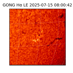 gong - 2025-07-15T08:00:42