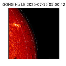 gong - 2025-07-15T05:00:42