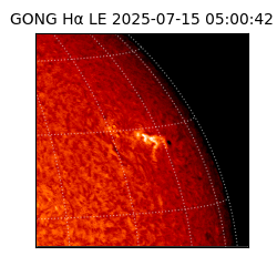 gong - 2025-07-15T05:00:42