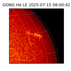 gong - 2025-07-15T08:00:42