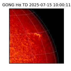 gong - 2025-07-15T10:00:11
