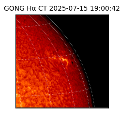 gong - 2025-07-15T19:00:42