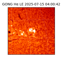 gong - 2025-07-15T04:00:42
