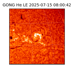 gong - 2025-07-15T08:00:42