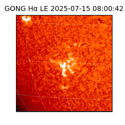 gong - 2025-07-15T08:00:42