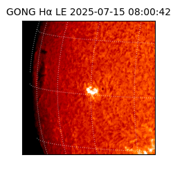 gong - 2025-07-15T08:00:42