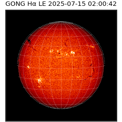 gong - 2025-07-15T02:00:42