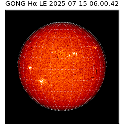 gong - 2025-07-15T06:00:42
